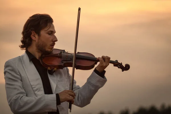 Violinista profesional con la silueta del violín al atardecer — Foto de Stock
