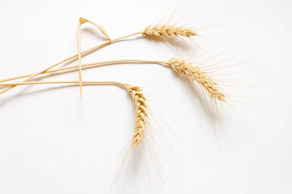 Состав твердой пшеницы на белом картоне, крупным планом Стоковое Фото