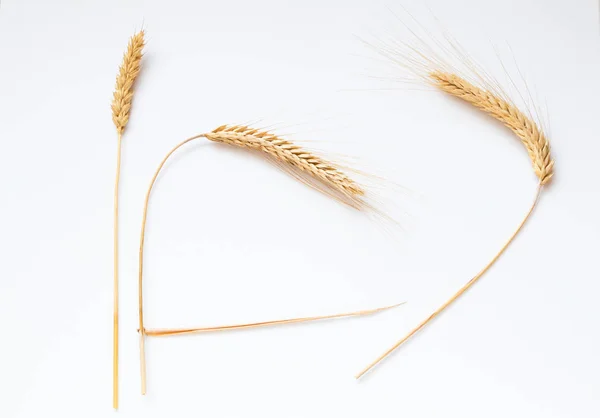 Wheat White Background Close — Stock Photo, Image