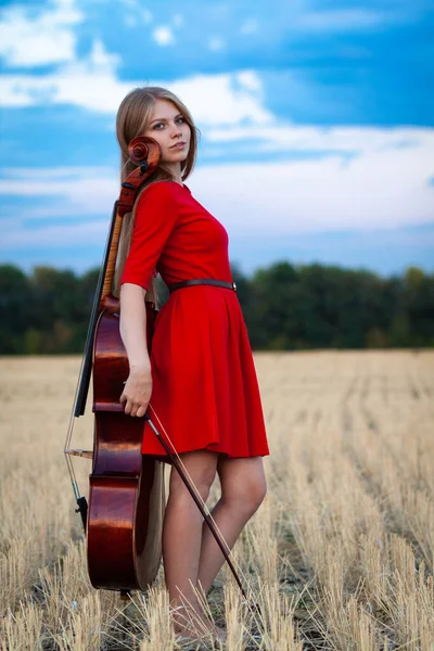 Jogador Violoncelo Feminino Profissional Vestido Vermelho Com Instrumento Livre — Fotografia de Stock