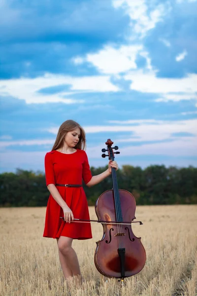 Jogador Violoncelo Feminino Profissional Vestido Vermelho Com Instrumento Livre — Fotografia de Stock