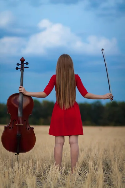 Jogador Violoncelo Feminino Profissional Vestido Vermelho Com Instrumento Livre — Fotografia de Stock