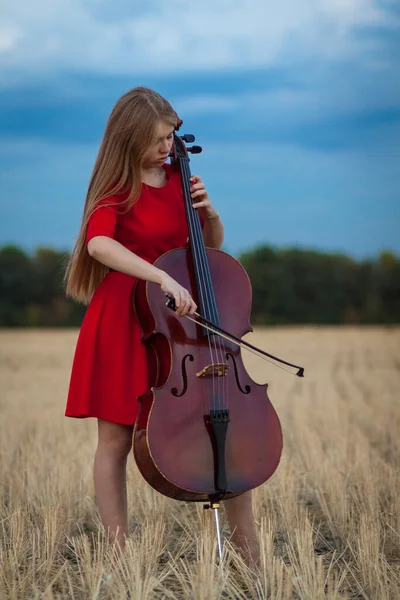 Jogador Violoncelo Feminino Profissional Vestido Vermelho Com Instrumento Livre — Fotografia de Stock