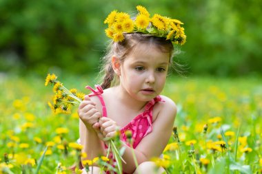 Bu küçük arı çok mu sert ısırıyor??