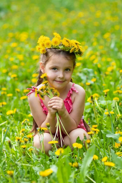 Bambina Che Gioca Nel Prato Con Denti Leone Immagine Stock