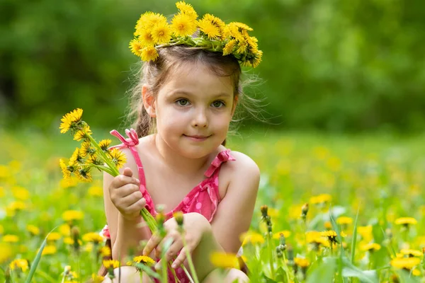 Menina Anos Brincando Prado Com Dentes Leão Imagem De Stock