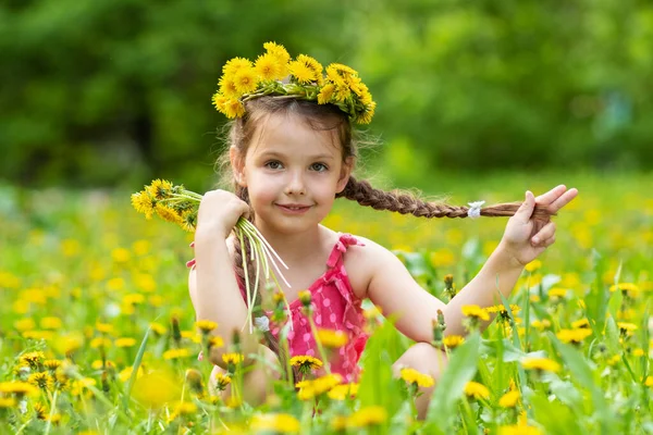 Menina Anos Brincando Prado Com Dentes Leão Imagem De Stock