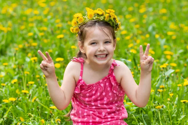 Menina Anos Brincando Prado Com Dentes Leão Fotografias De Stock Royalty-Free