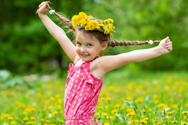 Menina Anos Brincando Prado Com Dentes Leão Imagem De Stock