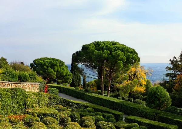 Nel parco estivo — Foto Stock