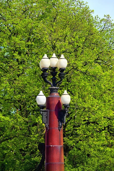 Multi Plafond Street Lamp Cast Iron Pole Background Foliage — Stock Photo, Image