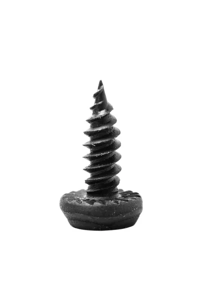 Single black screw — Stock Photo, Image