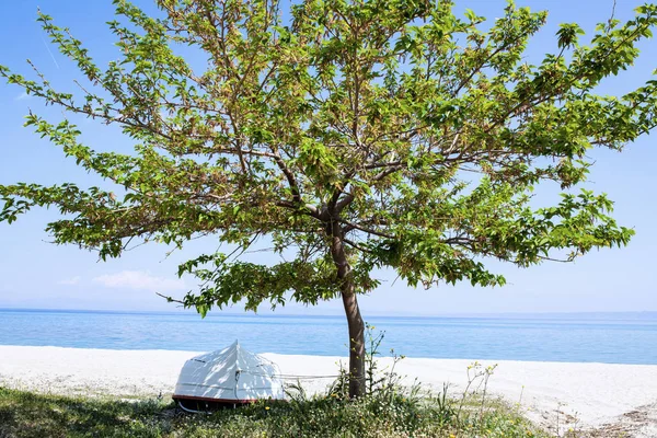 Árvore solitária com um barco — Fotografia de Stock