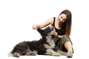 beyaz izole kız ve sreet köpek