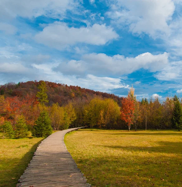 Promenade wandelpad door het veld — Stockfoto