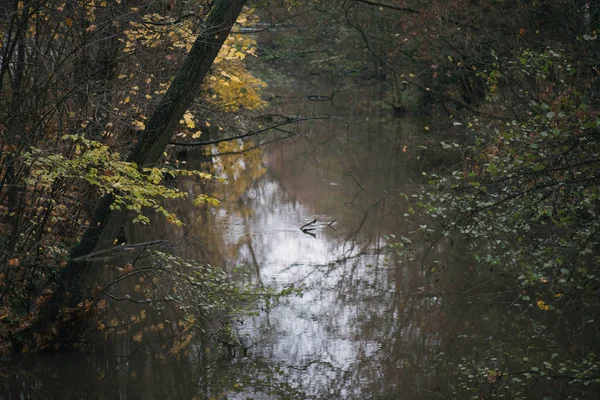 Dunkler Fluss im herbstlichen Wald — Stockfoto