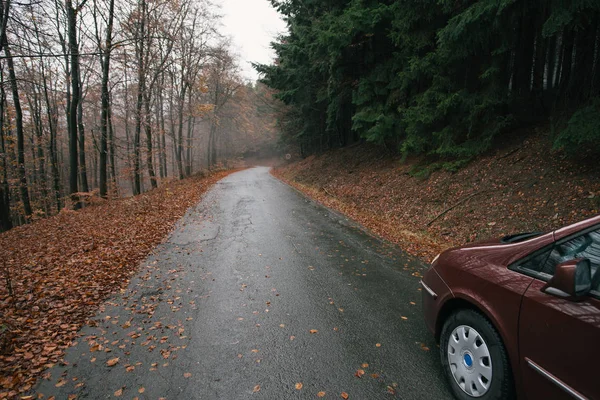 Auto und Straße im dunklen Wald — Stockfoto