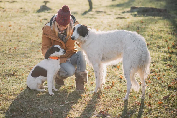 Kvinna leker med hundar utomhus — Stockfoto