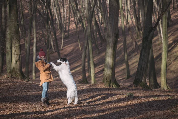 Mladá žena se psem — Stock fotografie