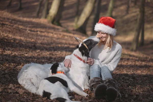 Jonge vrouw in kerstmuts met leuke honden — Stockfoto