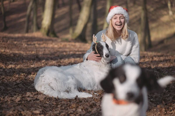 Jeune femme en chapeau de Père Noël avec des chiens mignons — Photo