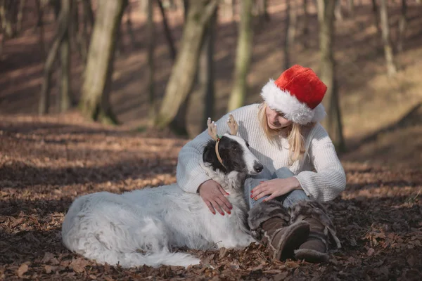 Mujer joven en sombrero de santa con lindo perro —  Fotos de Stock