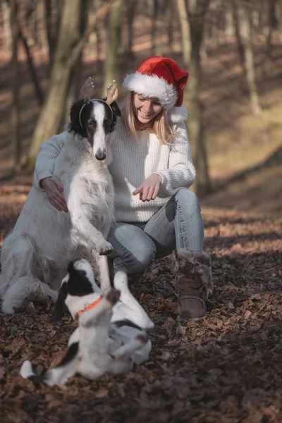 Giovane donna in cappello di Babbo Natale con cani carino — Foto Stock