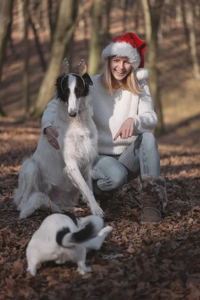 Jonge vrouw in kerstmuts met leuke honden — Stockfoto