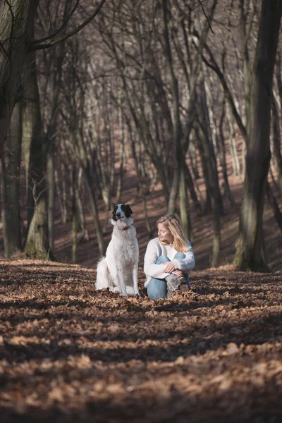 Jovem mulher com cão — Fotografia de Stock