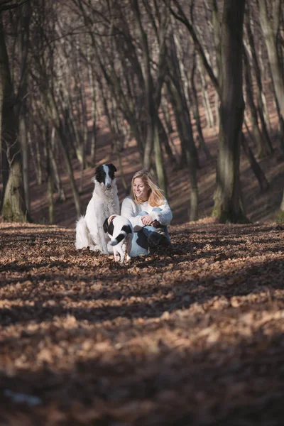 Jovem mulher com cães — Fotografia de Stock