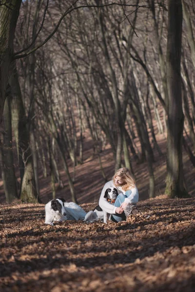 Junge Frau mit Hunden — Stockfoto