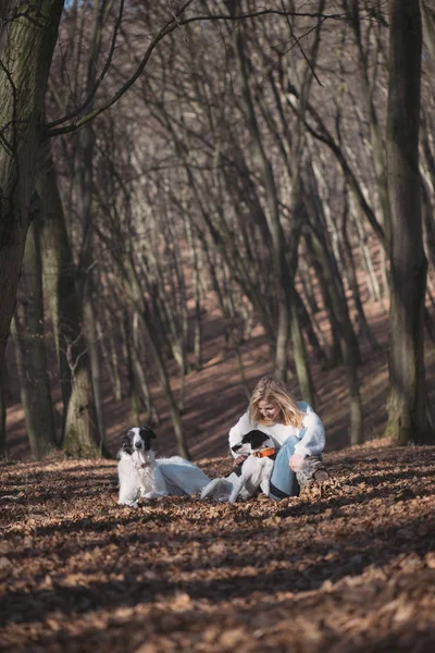 Giovane donna con cani — Foto Stock