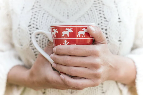 Christmas mug in female hands — Stock Photo, Image