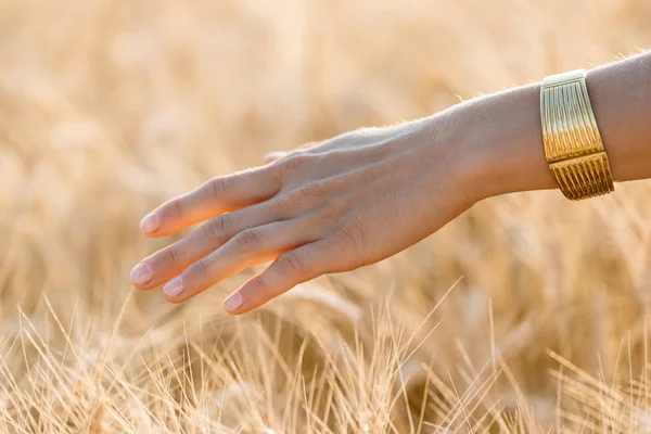 Le mani di donna toccano spighe di grano — Foto Stock