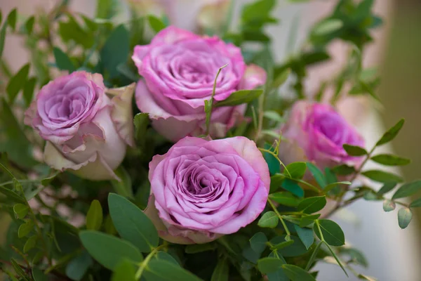 Roze rozen in de tuin — Stockfoto