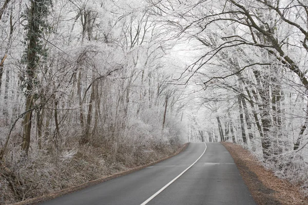 Route d'hiver dans la nature gelée — Photo