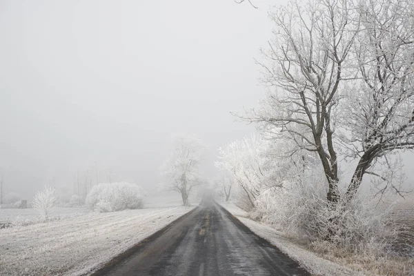 Winter road in frosty nature — Stock Photo, Image