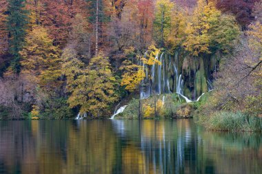 Hırvatistan derin orman şelale. Plitvice Gölleri Milli Parkı.