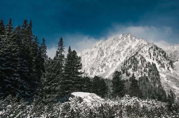 Fantastische winterlandschap. Dramatische bewolkte blauwe hemel. Hoge Tatra, Slowakije — Stockfoto
