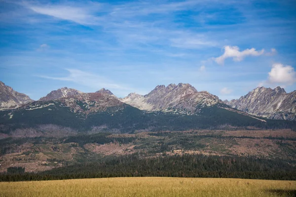 Hermoso prado de montaña — Foto de Stock