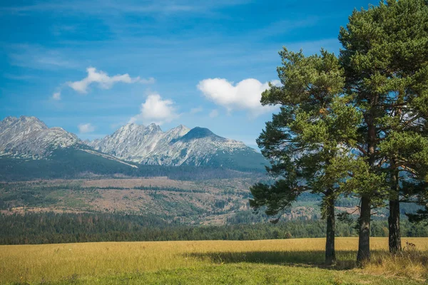 Trees against beautiful mountains — Stock Photo, Image