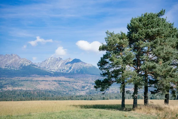 Trees against beautiful mountains — Stock Photo, Image