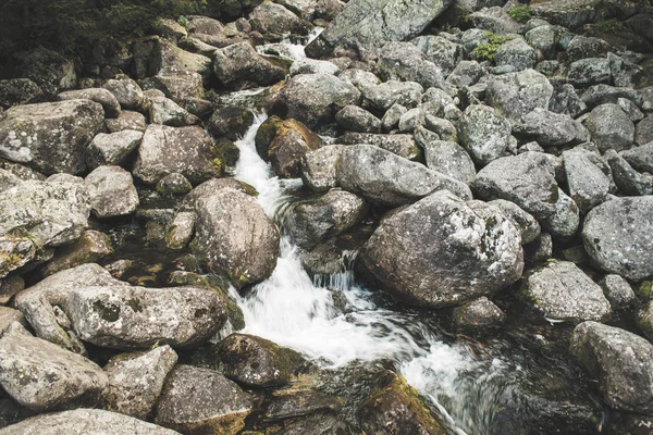 Beautiful mountain stream — Stock Photo, Image