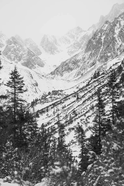 Зимний пейзаж, вид на туманную гору — стоковое фото