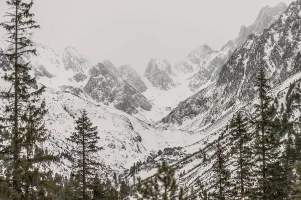 Paesaggio invernale, vista montagna nebbiosa — Foto Stock