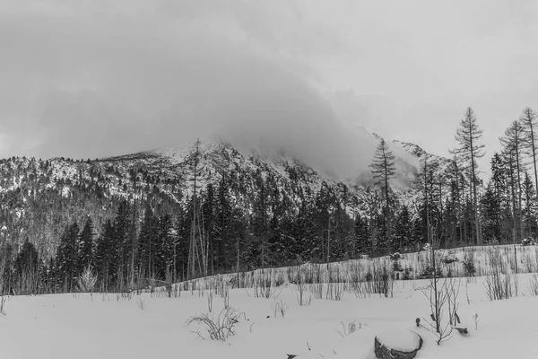Pemandangan musim dingin, pemandangan gunung berkabut — Stok Foto