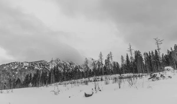 Vinterlandskap, utsikt över dimmiga bergen — Stockfoto