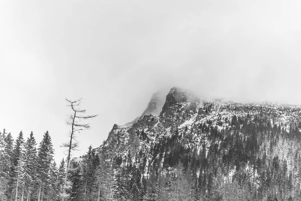 Paesaggio invernale, vista montagna nebbiosa — Foto Stock