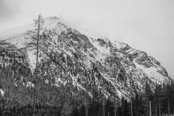Paisagem de inverno, vista da montanha nebulosa — Fotografia de Stock