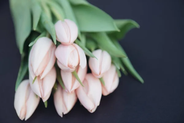 Ramo de flores de tulipán rosa fresco —  Fotos de Stock